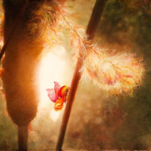 „Lampyvidae Vagnis-Świecioch”