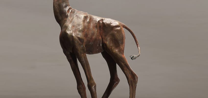 Grand Prix dla Norberta Sarneckiego!