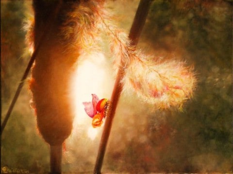 Wiesław Bober twórczość