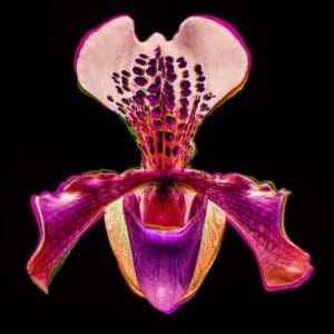 Maciej Mańkowski zdjęcie