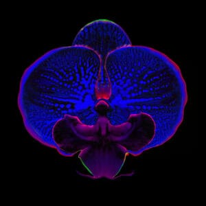 Maciej Mańkowski zdjęcie